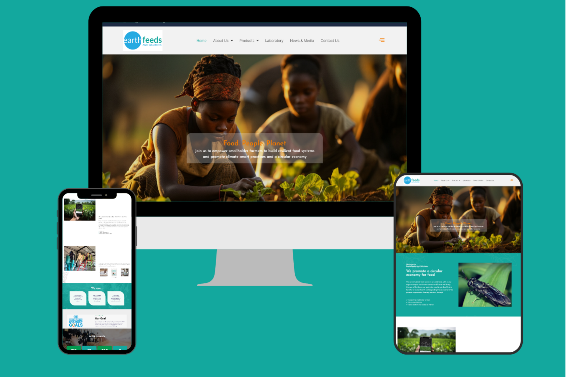 wordpress web design- Salt River, cape town